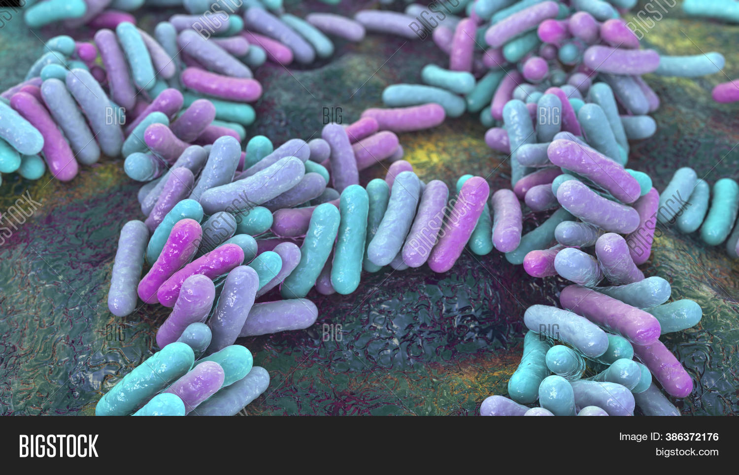 Bacteria, Human Image & Photo (Free Trial) | Bigstock