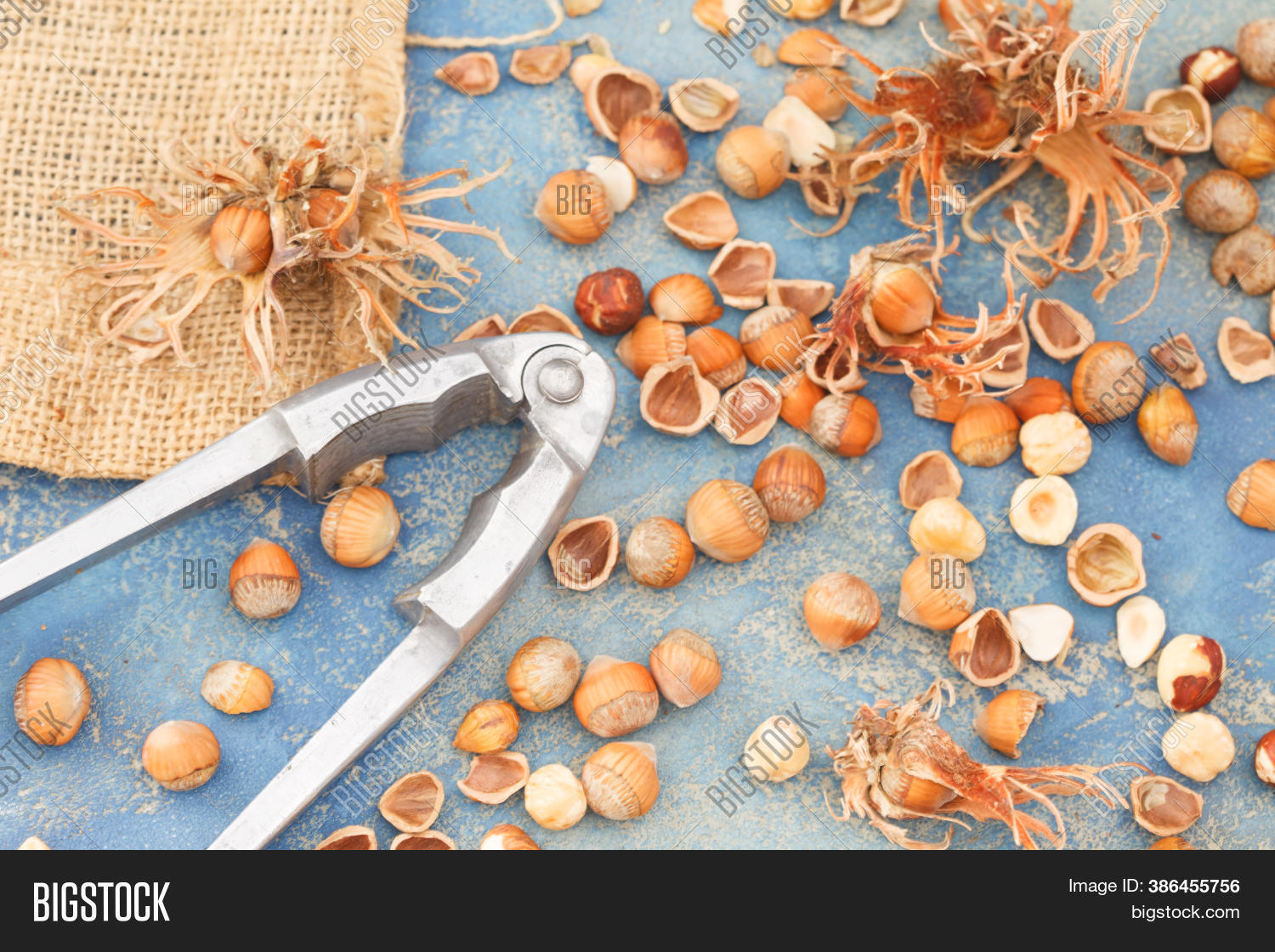 Hazelnuts Nut Cracker Image & Photo (Free Trial) Bigstock