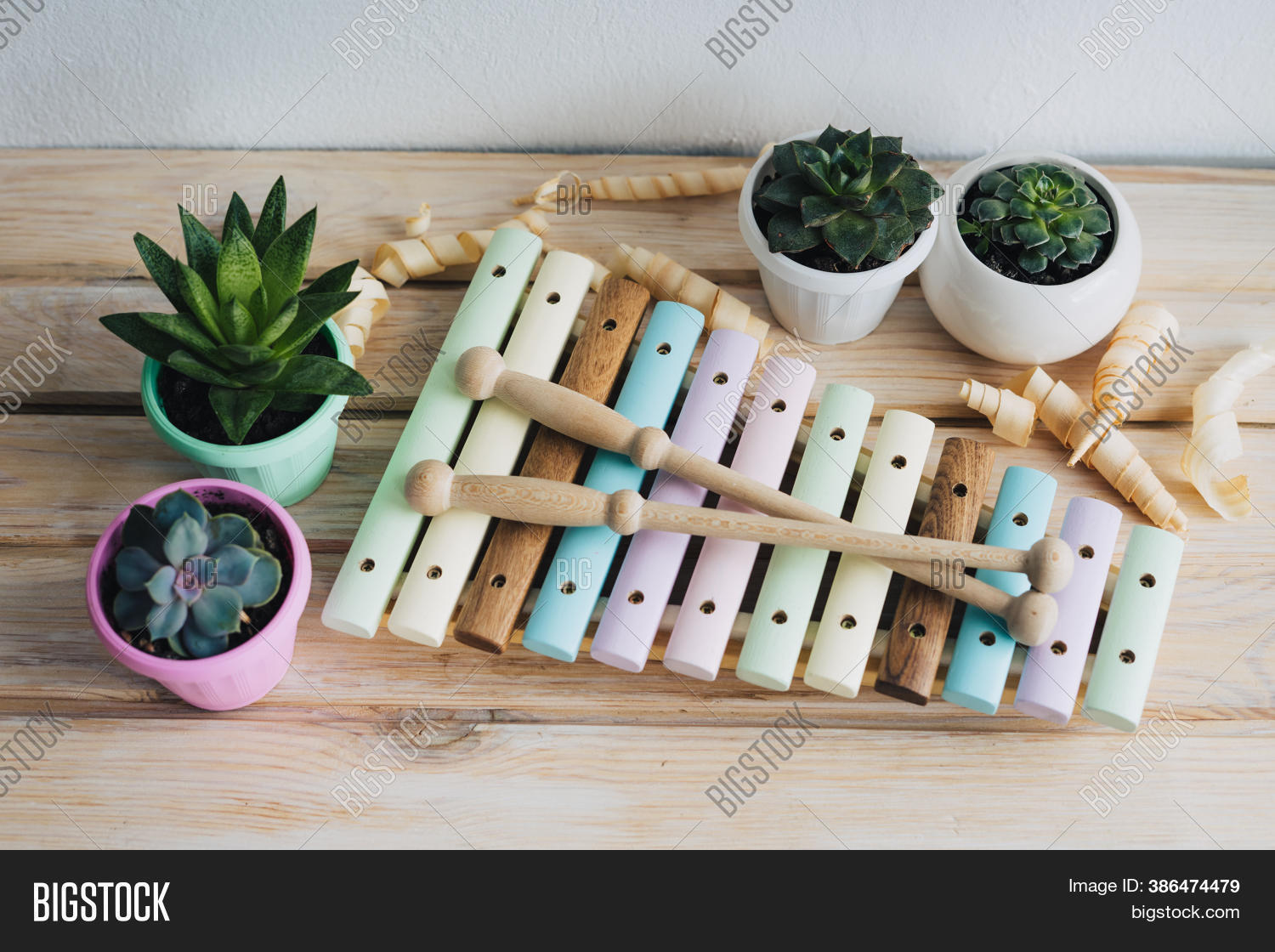 Xylophone Made Natural Image & Photo (Free Trial) Bigstock