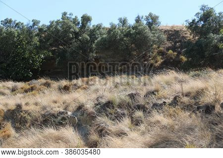 View Of A Rural Landscape In Costa Da Caparica