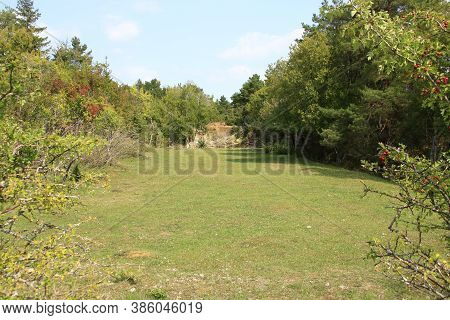 View Of The Buechelberg Nature Reserve Near Neuhausen In The Enzkreis