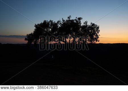 Beautiful Olive Tree Silhouette In Pulo Do Lobo Waterfall With River Guadiana In Mertola Alentejo, P
