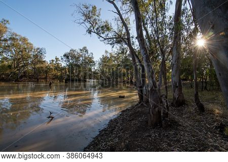 Moonie River At Nindie Gully Qld Australia