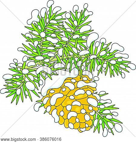 Cone On A Snow-covered Branch, Vector Cartoon Illustration On A White Background