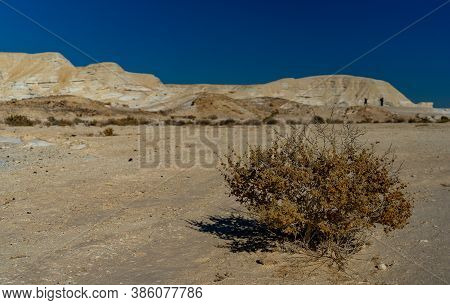 Nitzana Settlement Desert Travel In Israel Vacation