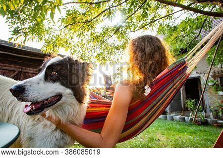 woman with dog relaxing in hammock in back yard