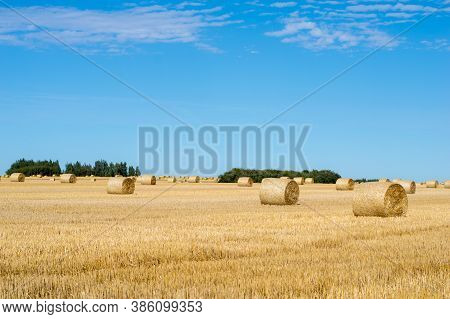 Haystack Rolls On Agriculture Field Landscape In Autumn. Haystack Harvesting Field. Agriculture Hays
