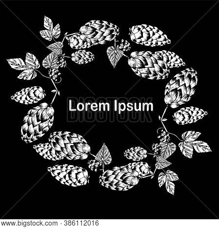Beer Craft Label. Hop Plant Frame Background Outline On White Oval Frame Art Monochrome Design Eleme