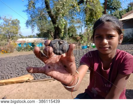 City Katni, India - December 03, 2019: Indian Village Poor Female Kids Presenting Water Chestnut On 