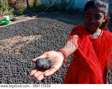 City Katni, India - December 03, 2019: Indian Village Poor Girl Displayed Water Chestnut On Hand At 