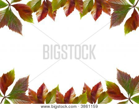 Rahmen des Herbstlaub