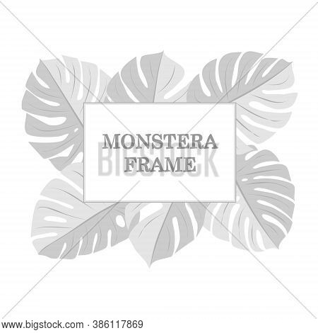 Monstera Frame. Monstera Vector. Hand Drawn Frame. Monstera Leaves. Jungle Frame. Summer. Jungle