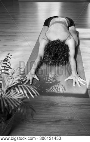 Uttitha Balasana Happy Child's Pose, Iyengar Yoga Relaxing Asana In The Studio