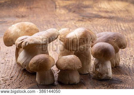 Group Of Boletus Mushrooms On Dark Wood