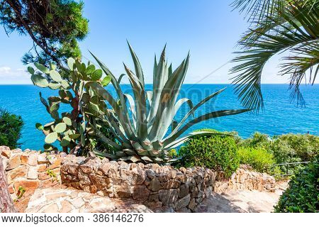 Marimurtra Botanical Garden At Blanes Near Barcelona, Spain