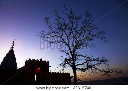 Monkey temple Galwar Bagh i Jaipur, Indien