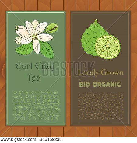 Organic Tea Collection. Vector Flyers With Hand Drawn Illustration Of Citrus Bergamia On A Wooden Ba