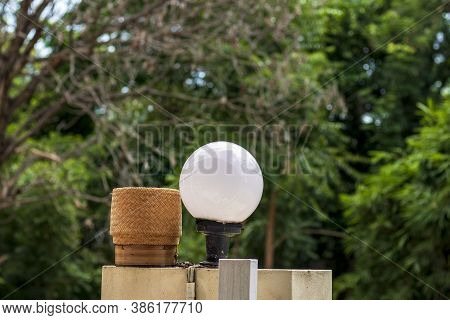 A Container Of Glutinous Rice Made From Bamboo And A Light Bulb With A Green Nature Behind The Blur
