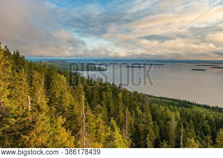 Beautiful nature landscape in Koli national park during ruska season in Finland. Pine forest and lake landscape at sunrise