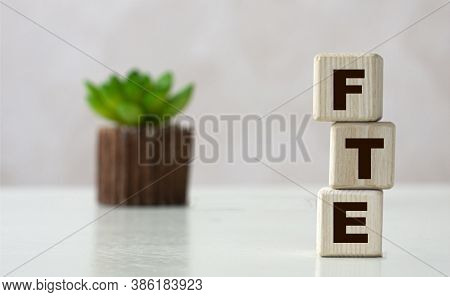 Fte (full-time Equivalent) Acronym On Wooden Cubes On A Light Background With A Cactus