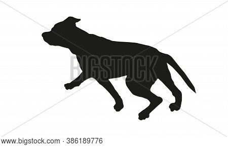 Black Dog Silhouette. Running American Staffordshire Terrier Puppy. Isolated On A White Background. 