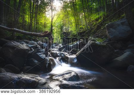 Abetone, Stream Waterfall Inside A Fir And Beech Forest. Apennines, Tuscany, Italy.