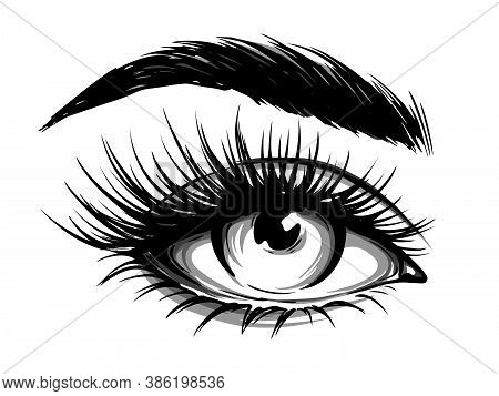 Hand-drawn Woman's Eye With Eyebrow And Long Eyelashes. Fashion Illustration. Vector Eps 10.
