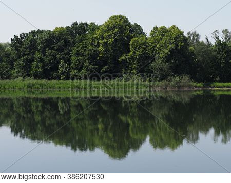 Woodland Reflected In Waters Of Artificial Breeding Pond In European Goczalkowice Town At Silesian D