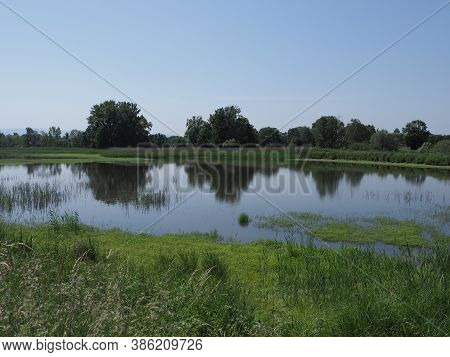 Lakeside Landscapes Of Breeding Pond In European Goczalkowice Town At Silesian District In Poland. C