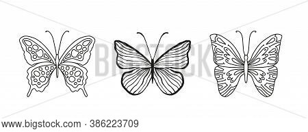 Graceful Sketch Line Hand Drawn Butterflies On White Isolated Background. Beautiful Sevenfold Insect