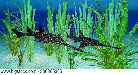 Onchopristis Sawfish 3d Illustration - This Predatory Shark Onchopristis Sawfish Lived In The Seas O