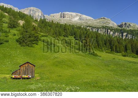 Mountain Landscape At Summer Along The Road To Campolongo Pass, Dolomites, Bolzano Province, Trentin