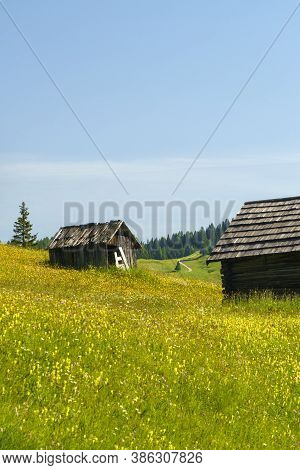 Mountain Landscape At Summer Along The Road To Campolongo Pass, Dolomites, Bolzano Province, Trentin