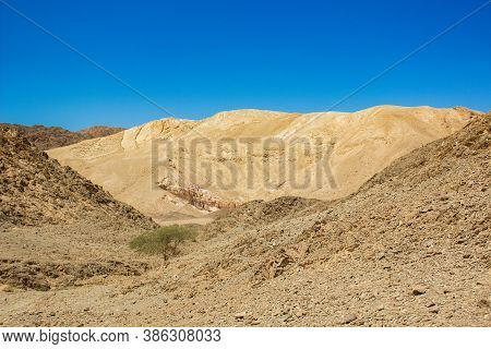 Waste Land Empty Space Landscape Global Warming Outdoor Environment Dirt Ground Hills Everywhere