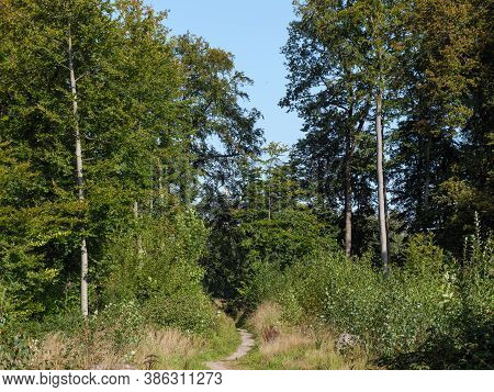small castle in the germna woods near ahaus