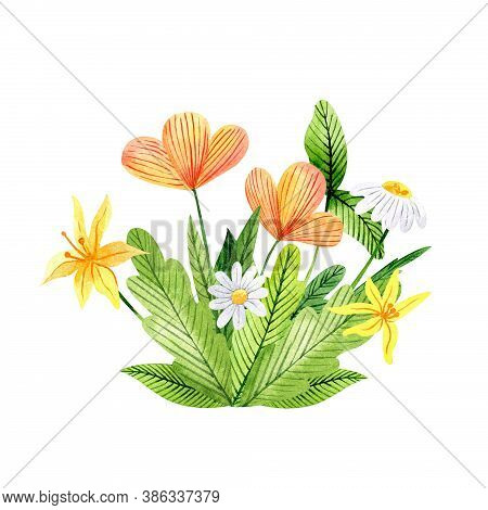 Watercolor Flower Composition With Wildflowers And Leaves. Bouquet Of сhamomile, Gagea And Eschschol