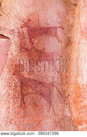 One Of The Paintings From This Historical Place Bhimbetka, India.

It Is A Marvel That The Paintings