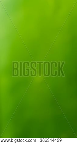 A Green Natural  Blur Background