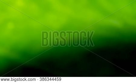 A Green Natural Background