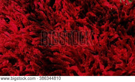 A Red Cloth With Texture