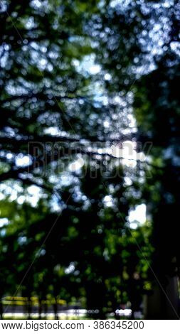 A Bokeh Scene Of Tree Natural With Shadow And Light.