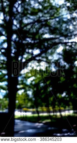A Bokeh Scene Of Tree Natural With Shadow And Light.