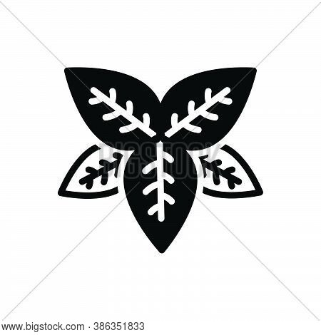 Black Solid Icon For Basil  Tulsi Lamiaceae Thyme Greenery Sweet-basil Condiment Spice Flavor Ingred