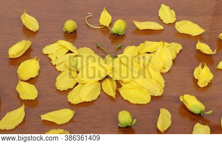 Yellow Petal Of Golden Shower Flower Set To Butterfly Shape And Corolla Flower Put Around On The Woo