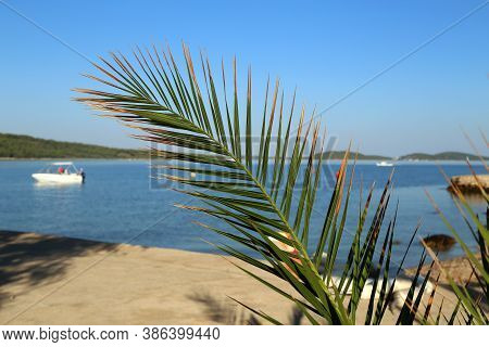 Sunny Morning On The Sea Beach Zablace In Croatia
