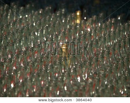 Pop Bottles