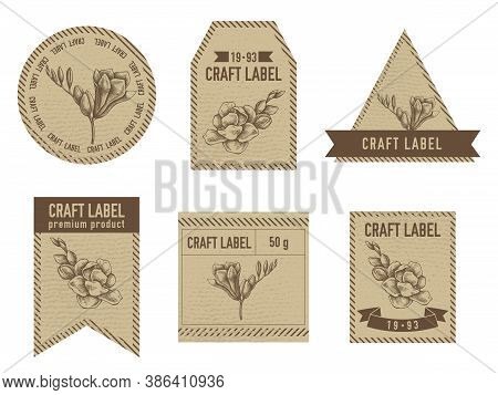 Craft Labels Vintage Design With Illustration Of Freesia Stock Illustration