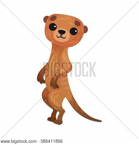 Brown Meerkat Or Suricate As African Animal Vector Illustration