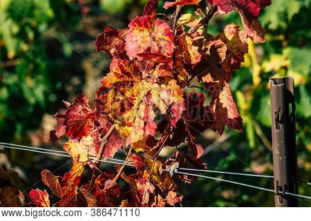 Colors Of France