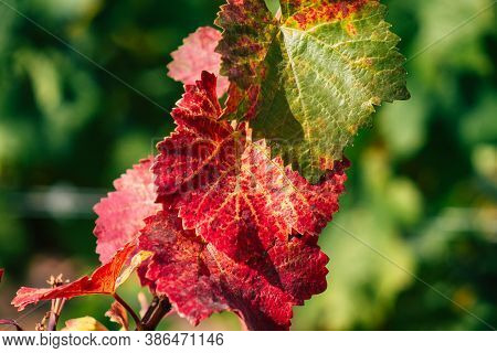 Colors Of France